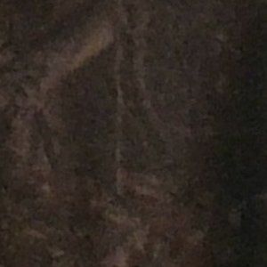 all 13 shorts that was $100 by selling them for 80